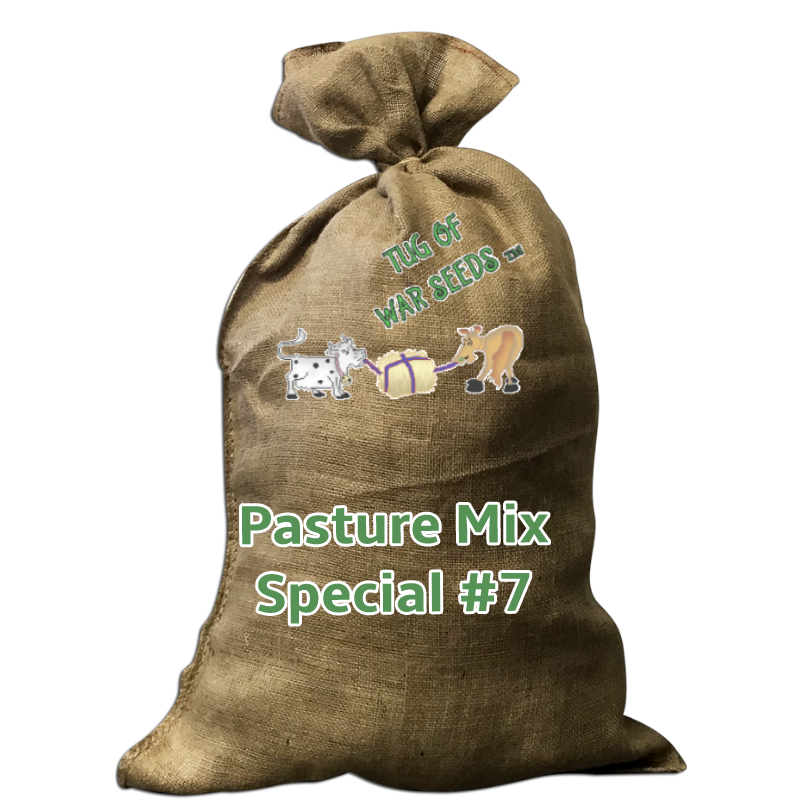 Pasture Mix Special