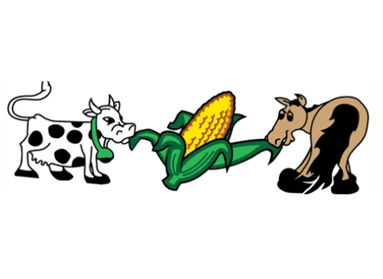 Cartoon-style cow, corn, and horse illustrate farm elements