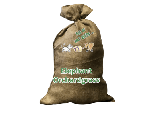 Canvas sack labeled "Elephant Orchardgrass" with playful animal graphics