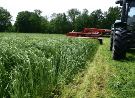 A tractor with a mower trims tall grass in a lush field