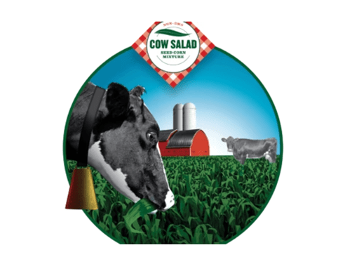 A Holstein cow grazes in a vibrant green field with a red barn and silo in the background