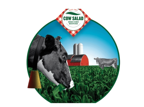 A Holstein cow grazes in a vibrant green field with a red barn and silo in the background
