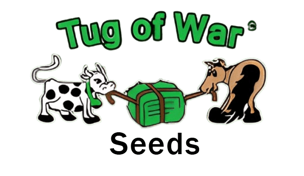 Tug of War Seeds