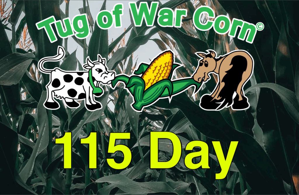 "Tug of War Corn® 115 Day event graphic featuring a cow, corn, and horse against a backdrop of corn stalks."