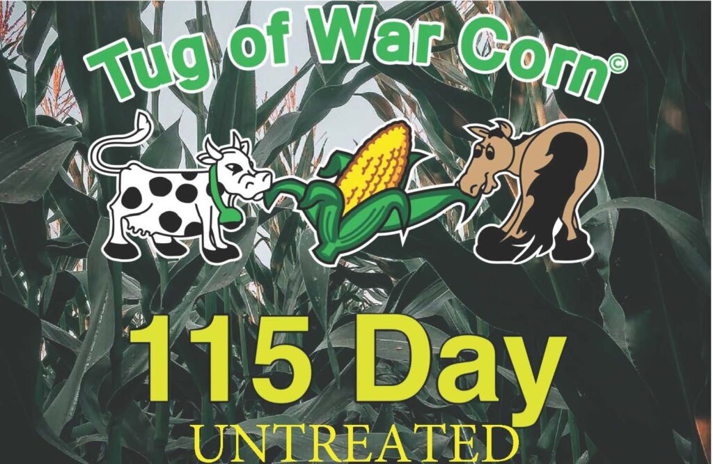 Tug of War Corn® graphic featuring a cow, corn, and horse with "115 Day UNTREATED" prominently displayed, highlighting a corn variety for agricultural use.